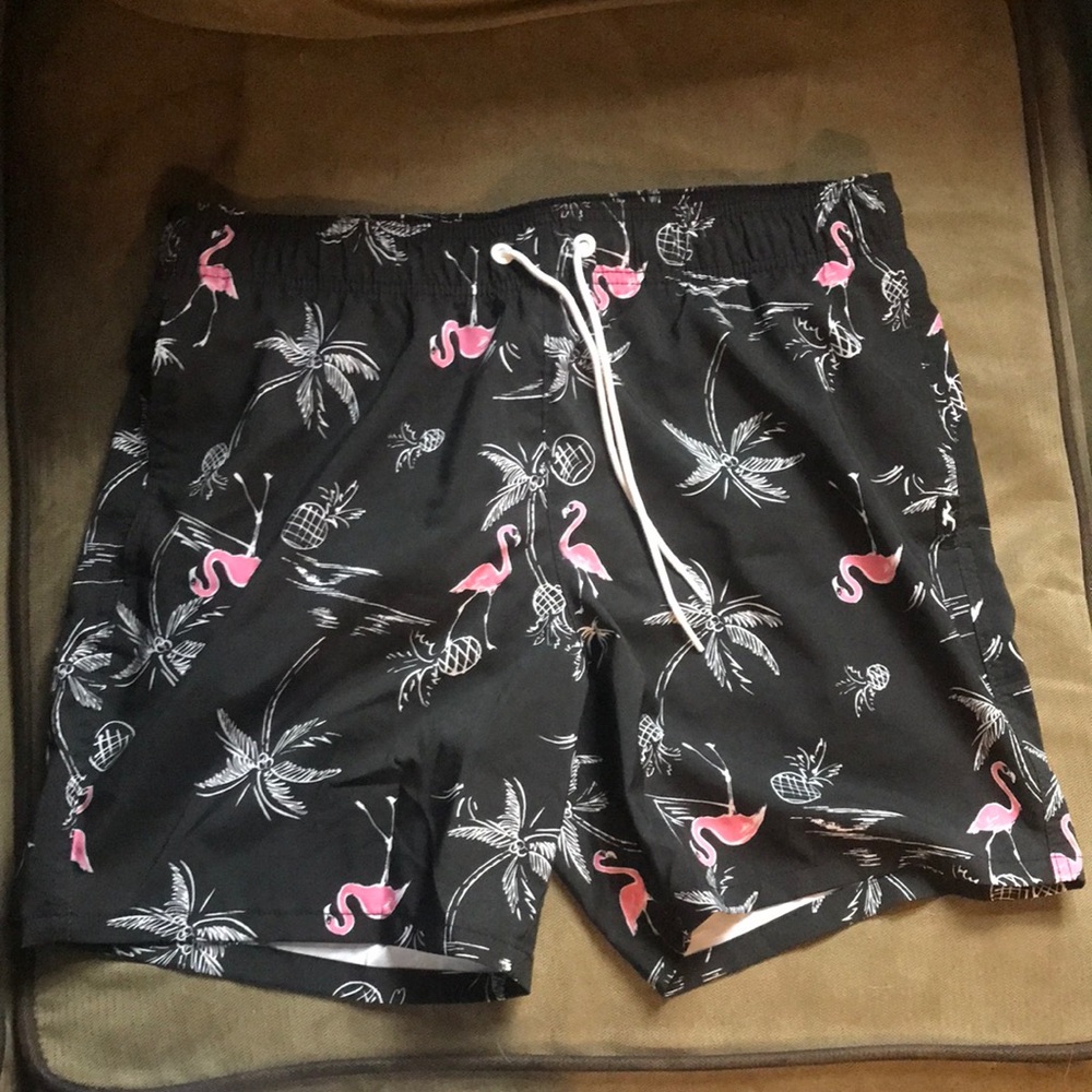 Hollister swimming trunks